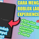 Cara Mengatasi Launching Experience di Roblox 1