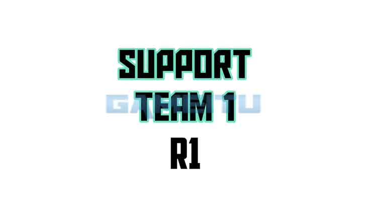 Support Team 1