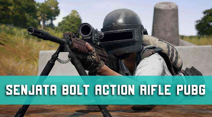 Senjata Bolt Action Rifle PUBG